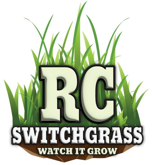 RC Big Rock Switchgrass Seed (Panicum virgatum)