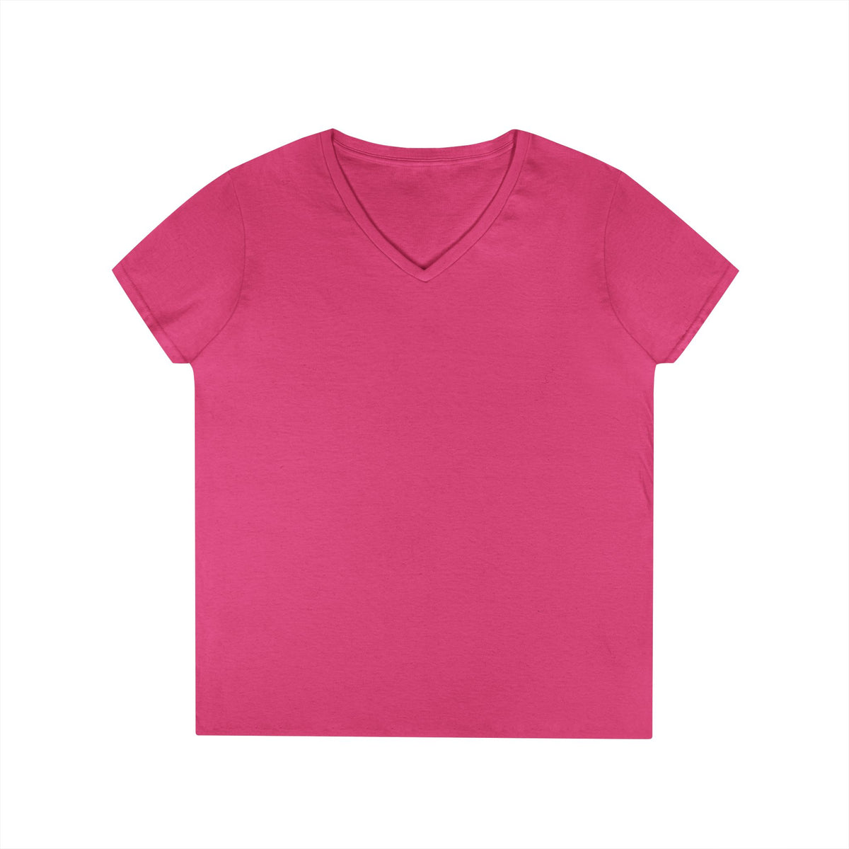 Flat Lander Ladies' V-Neck T-Shirt, Casual Tee.