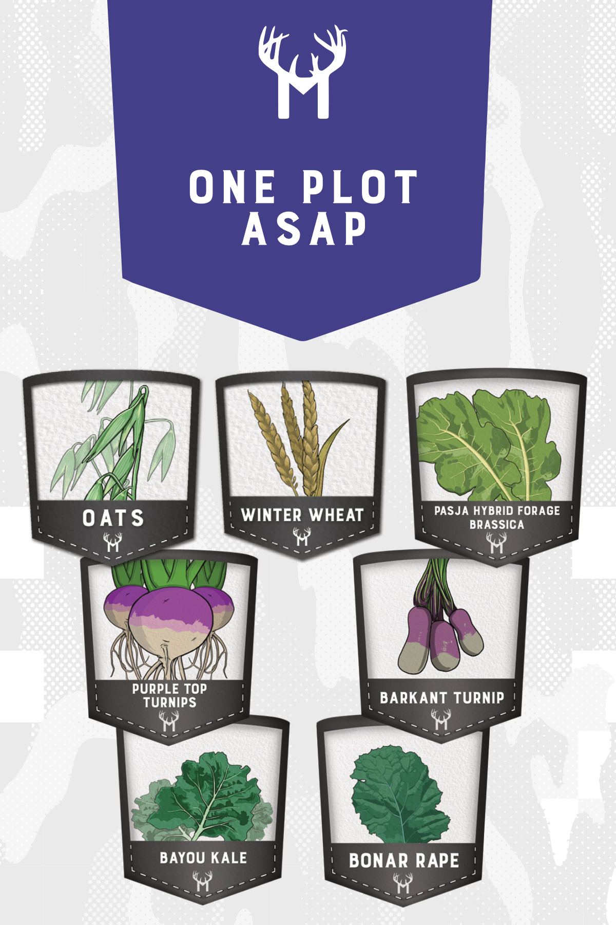One Plot ASAP