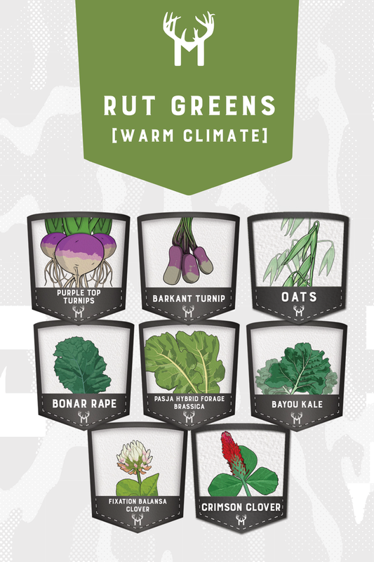 Rut Greens Warm Climate